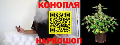 прущие грибы Пыть-Ях