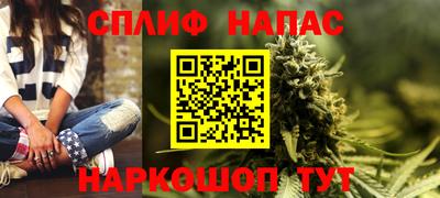 прущие грибы Пыть-Ях