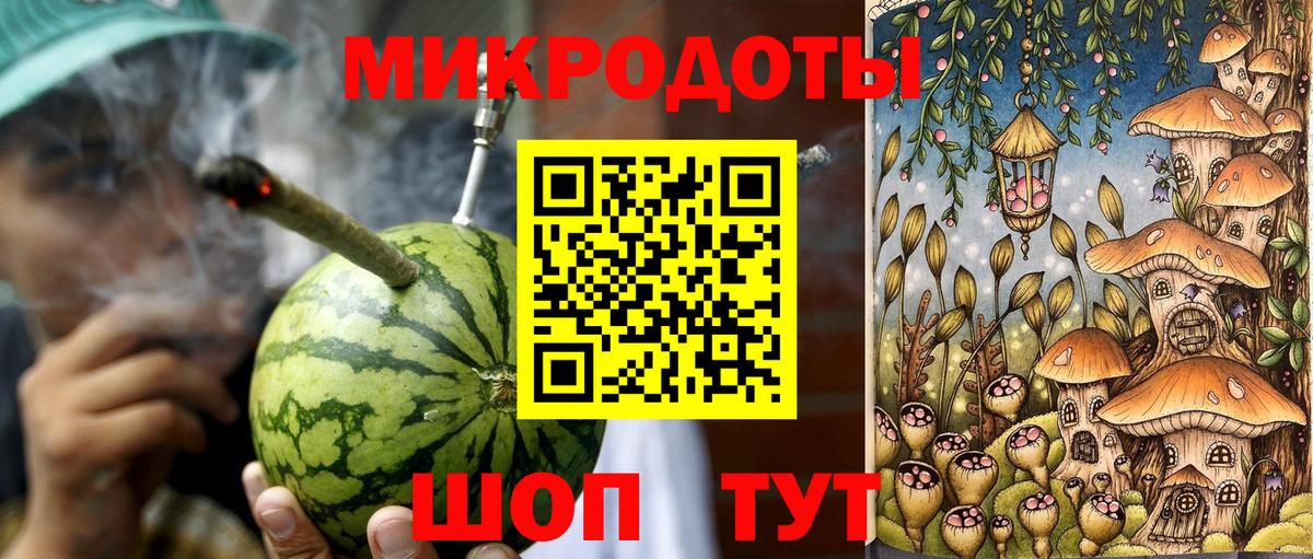 Псилоцибиновые грибы Psilocybine cubensis Приморско-Ахтарск